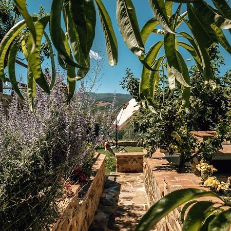 Appartement Little Val D'Orcia à Montenero d'Orcia Extérieur photo