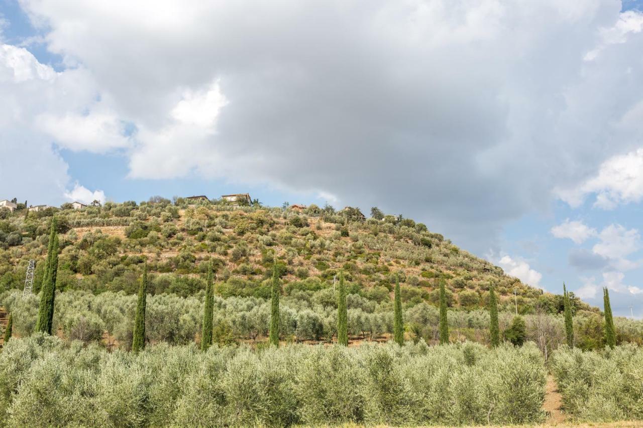 Appartement Little Val D'Orcia à Montenero d'Orcia Extérieur photo