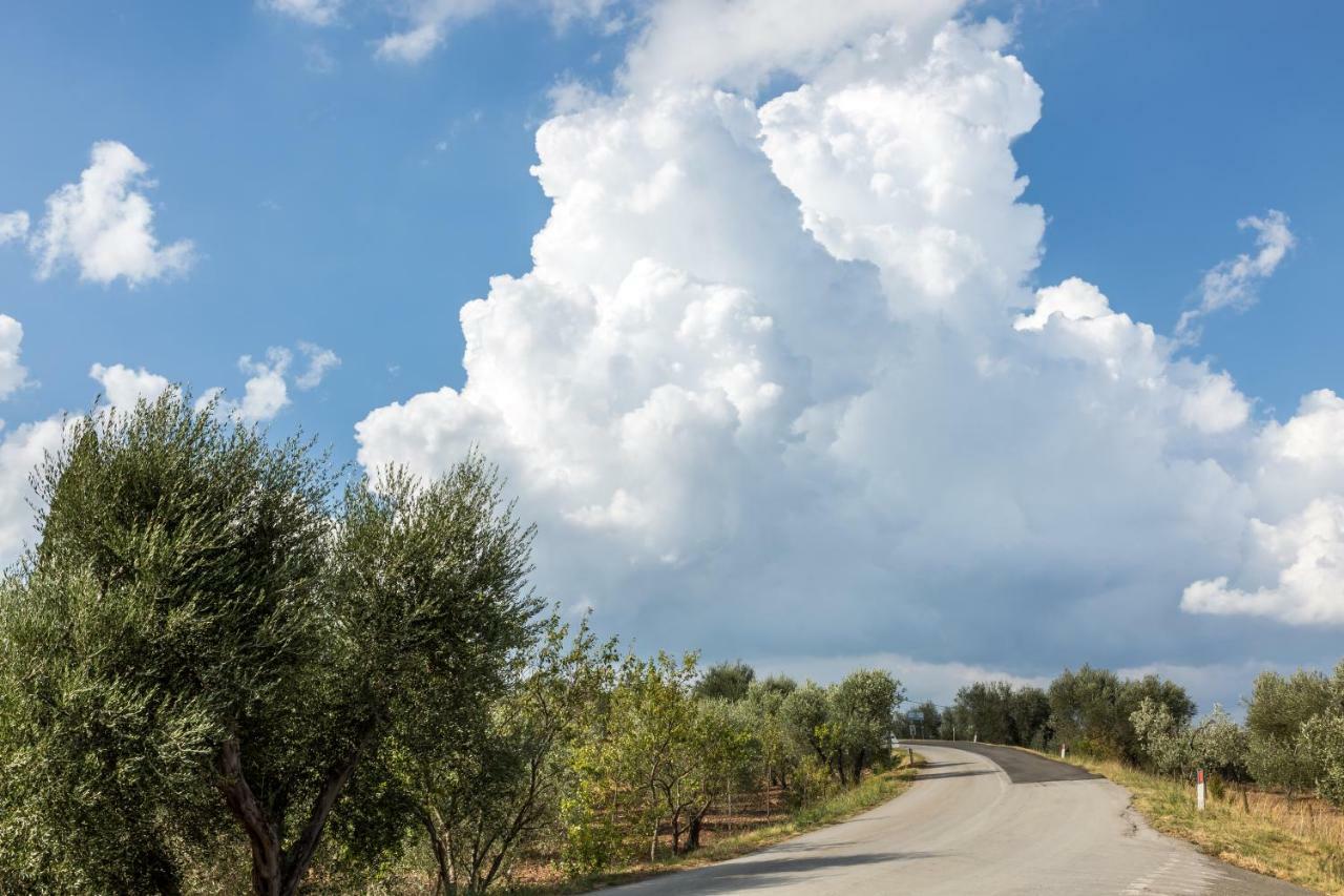 Appartement Little Val D'Orcia à Montenero d'Orcia Extérieur photo